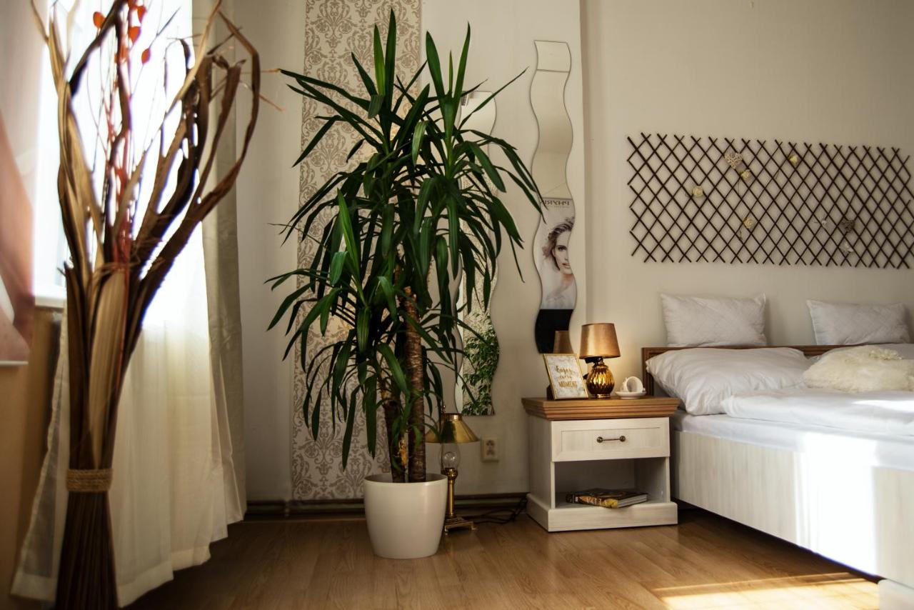 Beauty-Spa Apartment Decin Exteriér fotografie