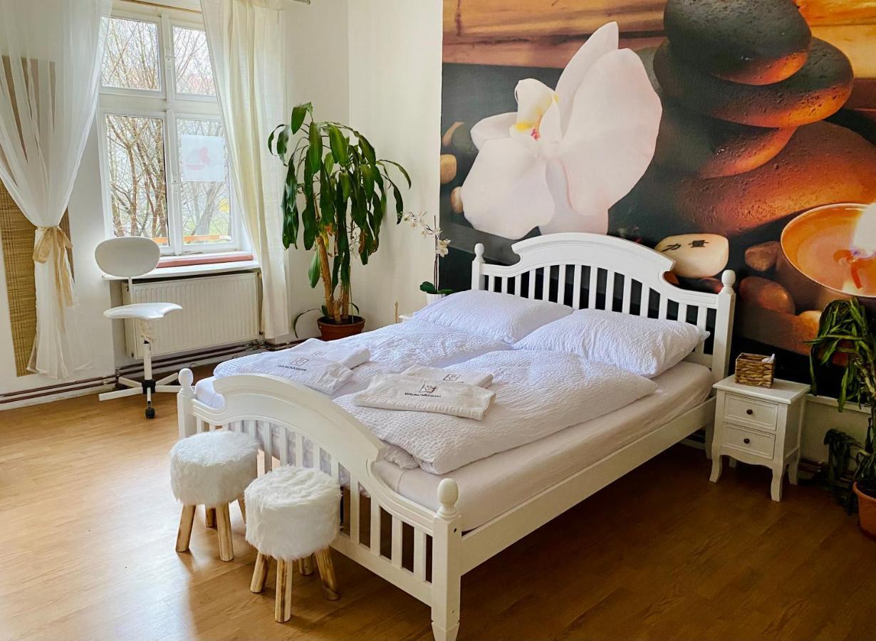 Beauty-Spa Apartment Decin Exteriér fotografie